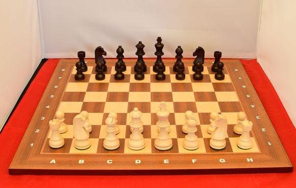 Wooden Chess Set No: 5, KH 90 mm, London Board with Staunton Pieces German Knight