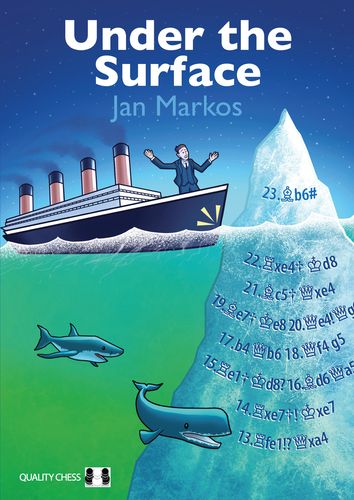 Under the Surface (Hardcover)