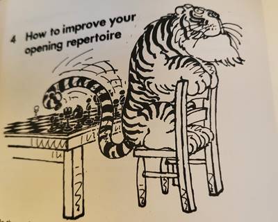 Afbeelding met tekening, schets, tekst, illustratie

Automatisch gegenereerde beschrijving