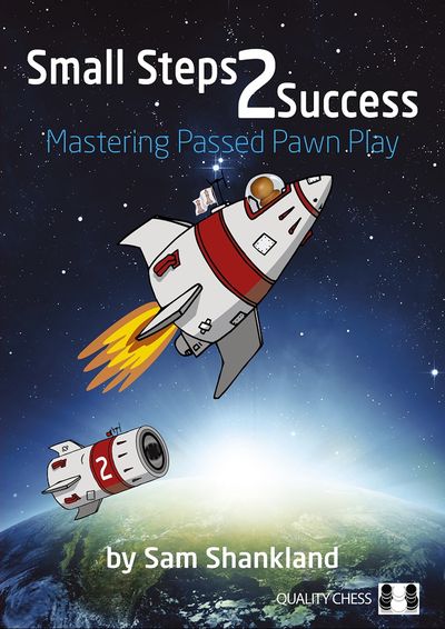 Small Steps 2 Success (Hardcover)