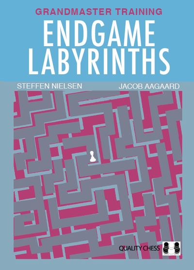 Endgame Labyrinths (Hardcover)